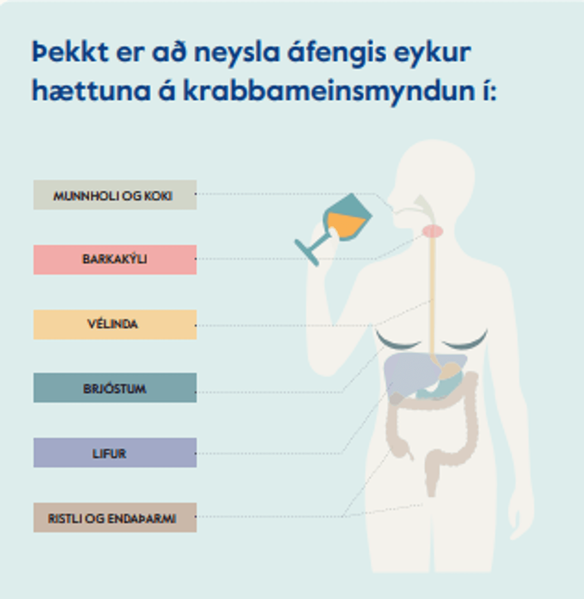 Áfengi, áhætta á krabbameinsmyndun